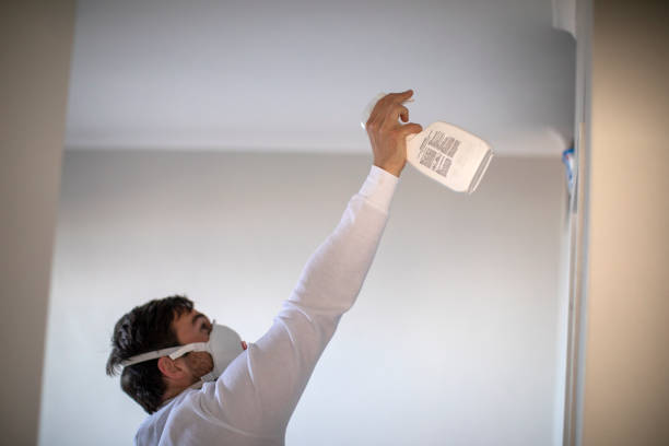 Best Bathroom Mold Remediation in Maple Heights, OH