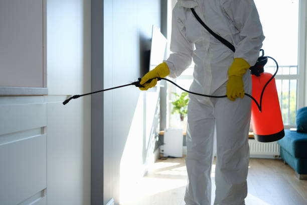 Professional Mold Remediation in Maple Heights, OH
